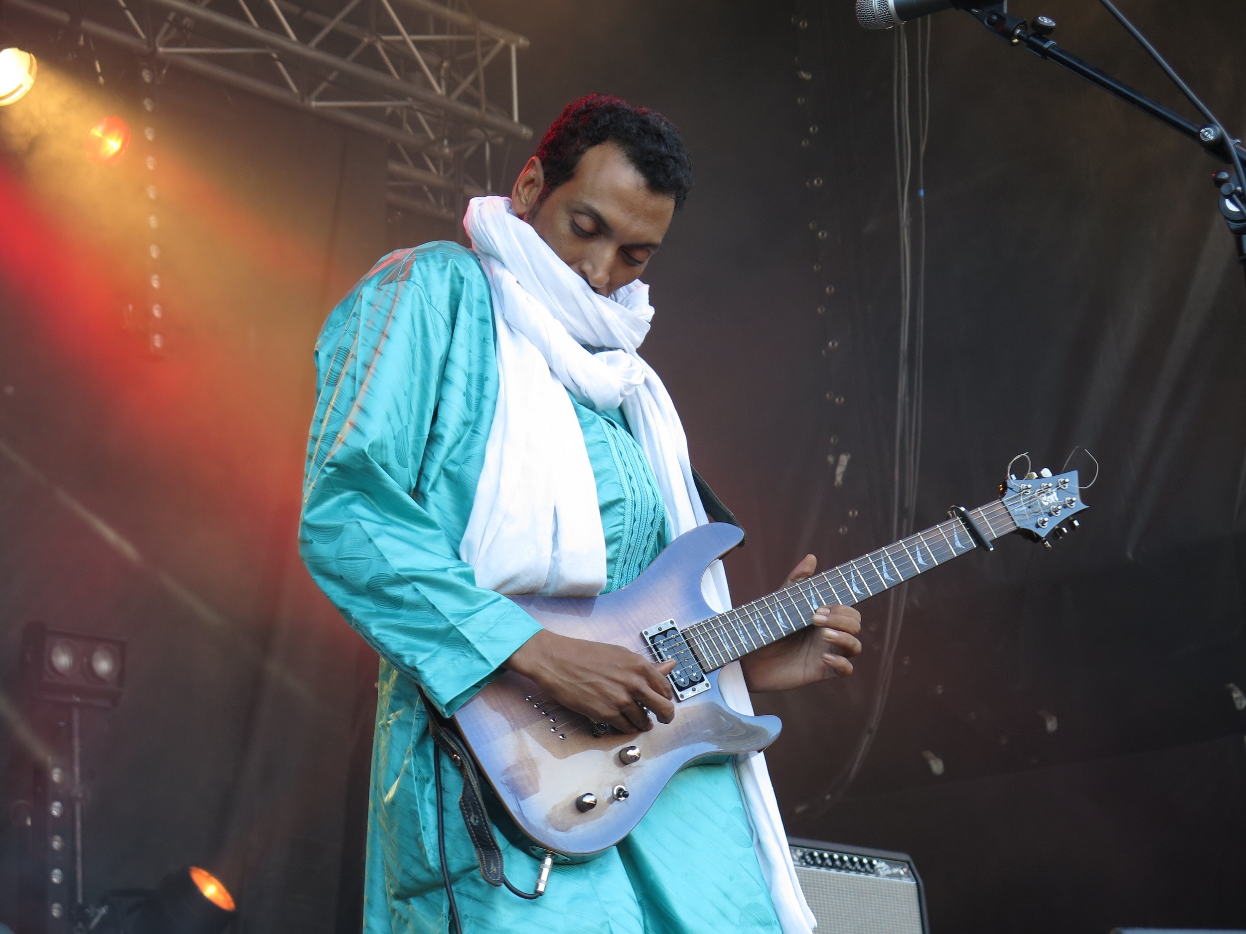 Bombino bombino...