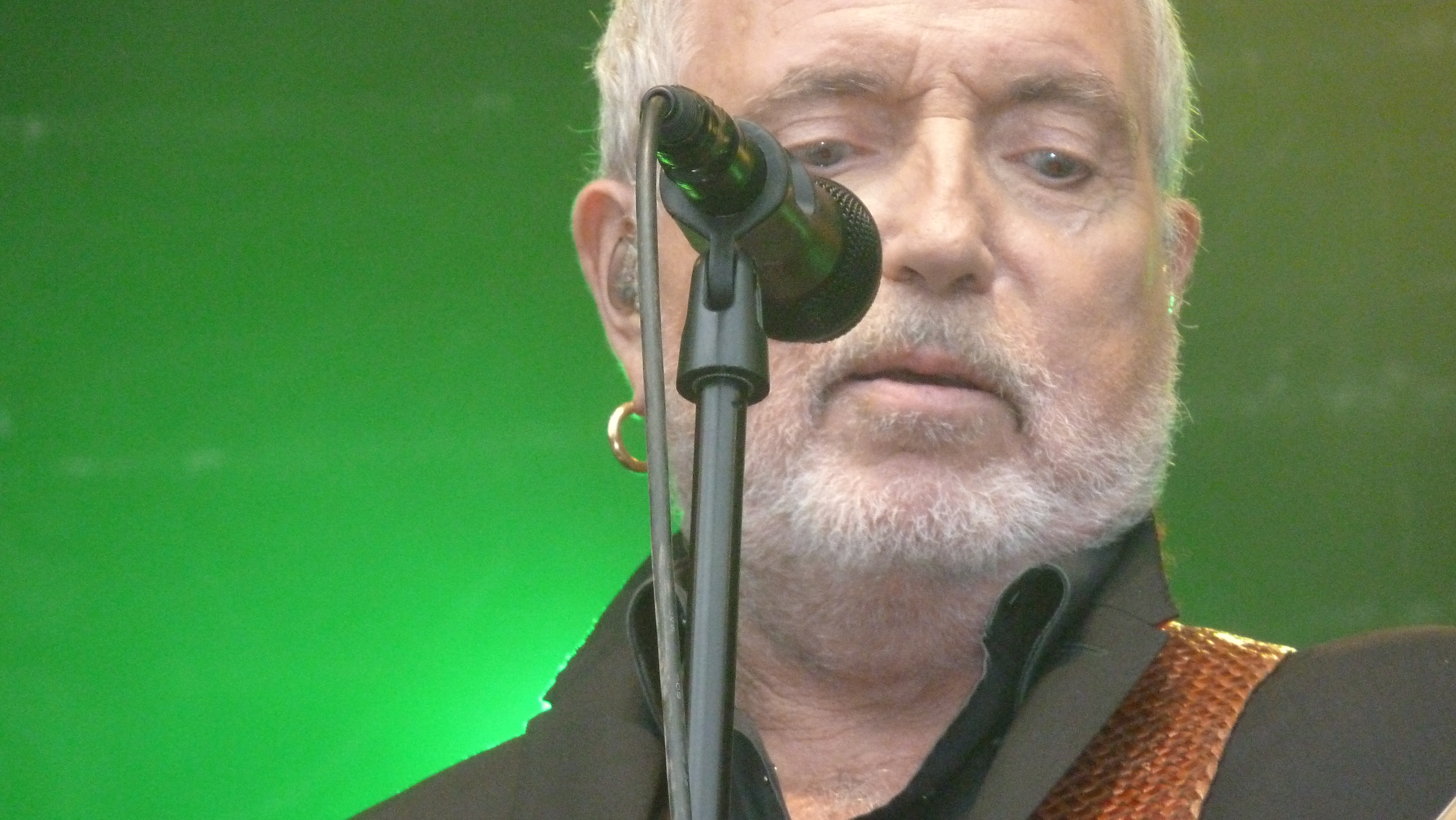 Sacré Bernard !