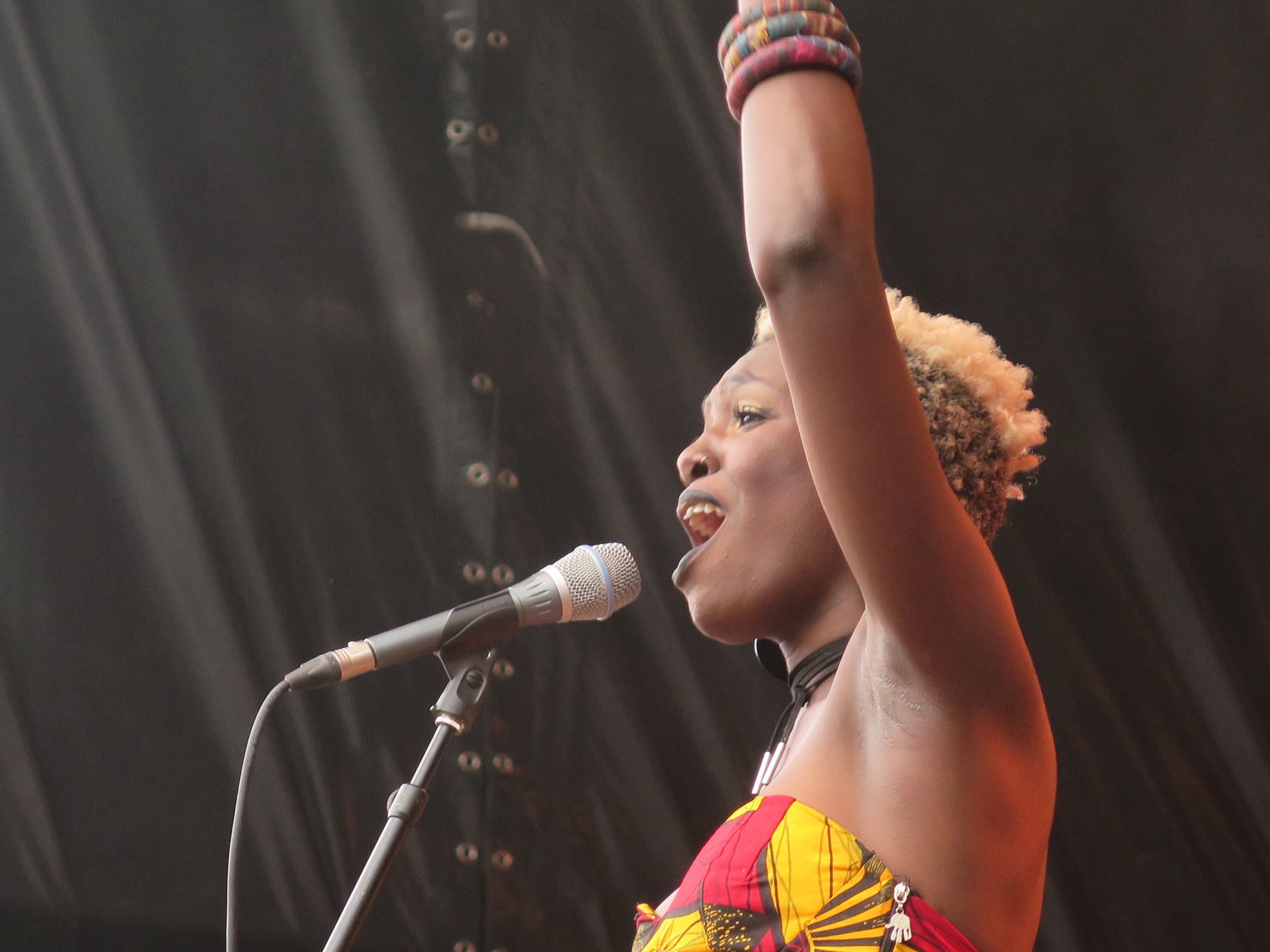 The Bongo hop : des envies d’ailleurs...